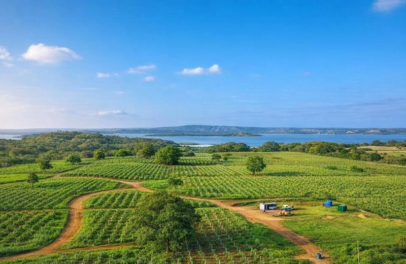 Sunset Creek Kilifi, Superior Homes Kenya PLC